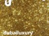 dubailuxury.wallet