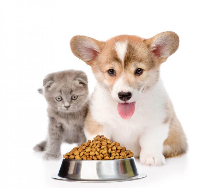 petsfood.zil